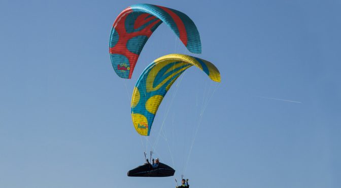 ICARO BUTEO